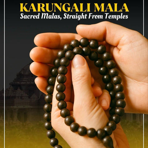 Original Karungali Mala 108 Beads Ebony Wood